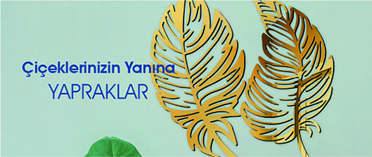 Çiçeklerinizin Yanına Yapraklar