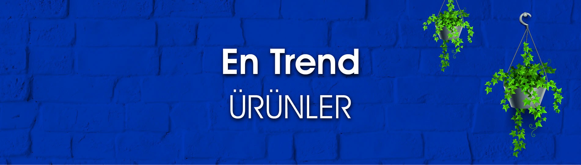 En Trend Ürünler