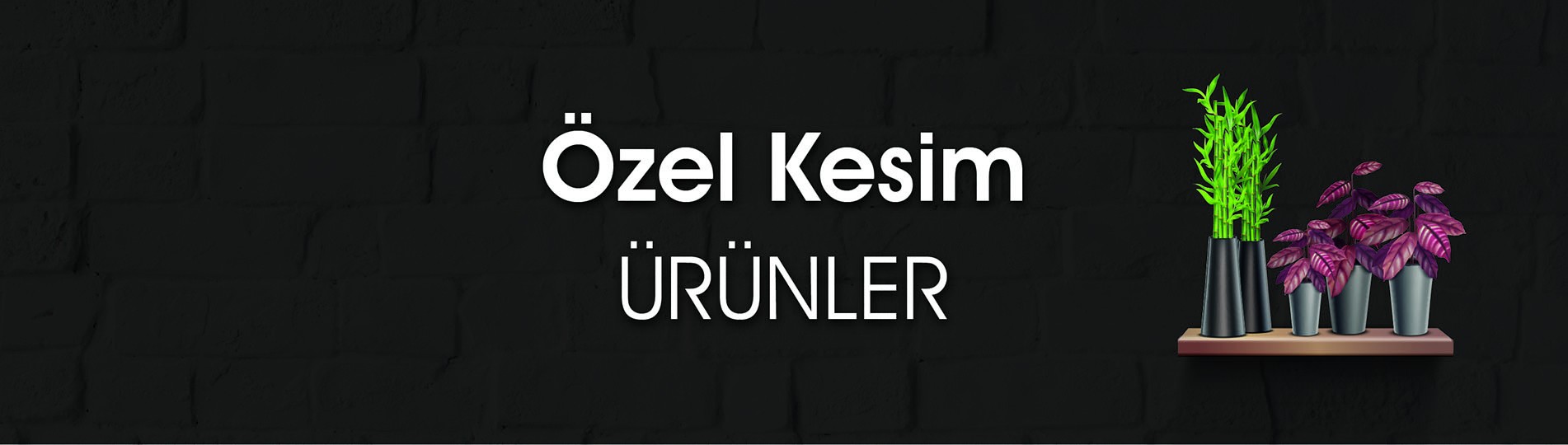 Özel Kesim Ürünler